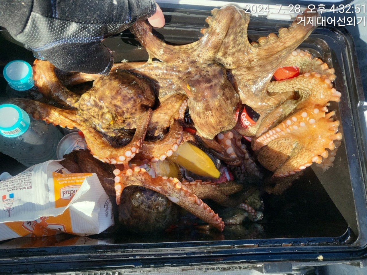 사용자가 올린 이미지