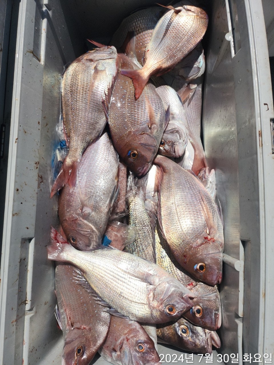 사용자가 올린 이미지