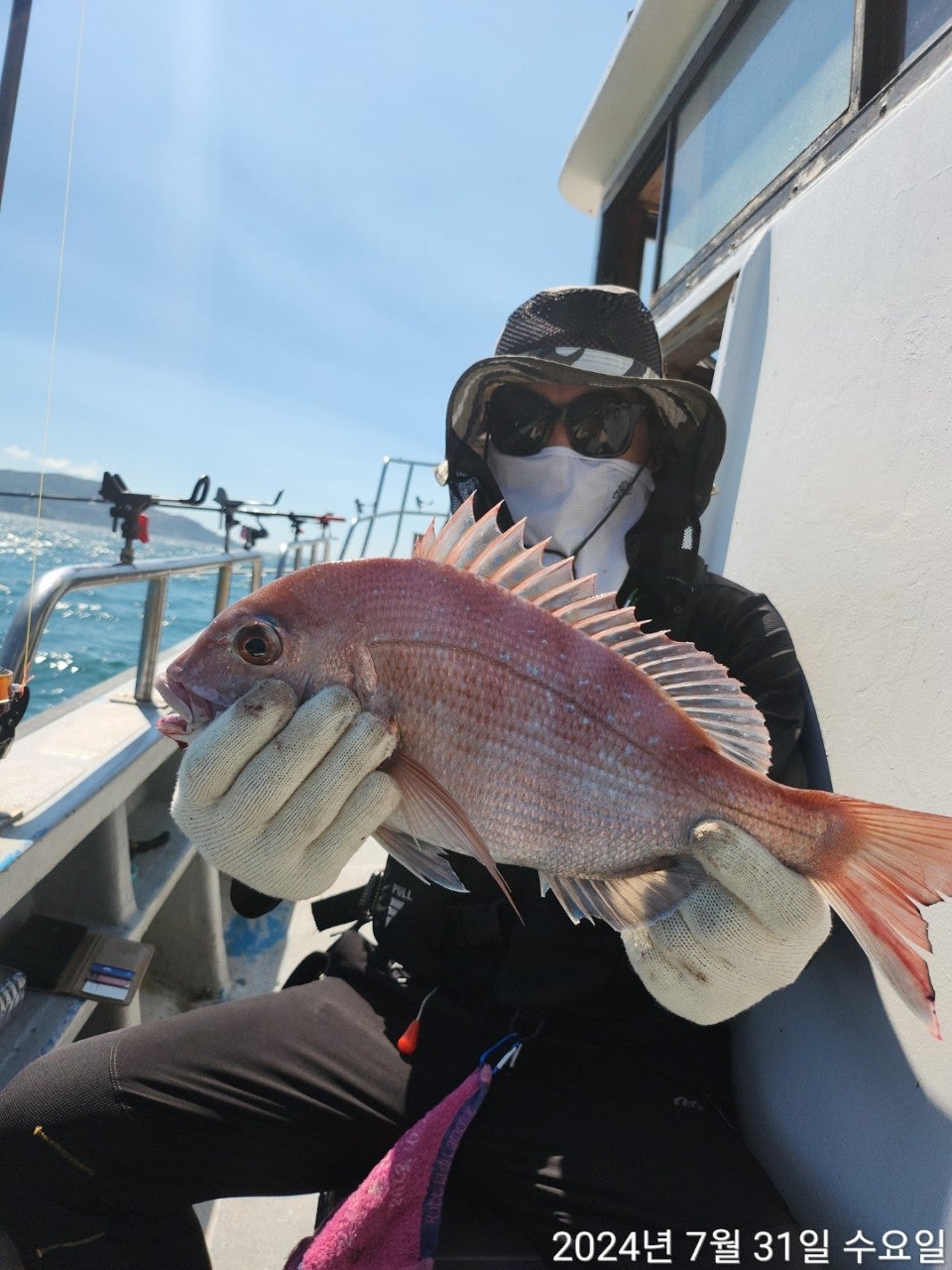 사용자가 올린 이미지