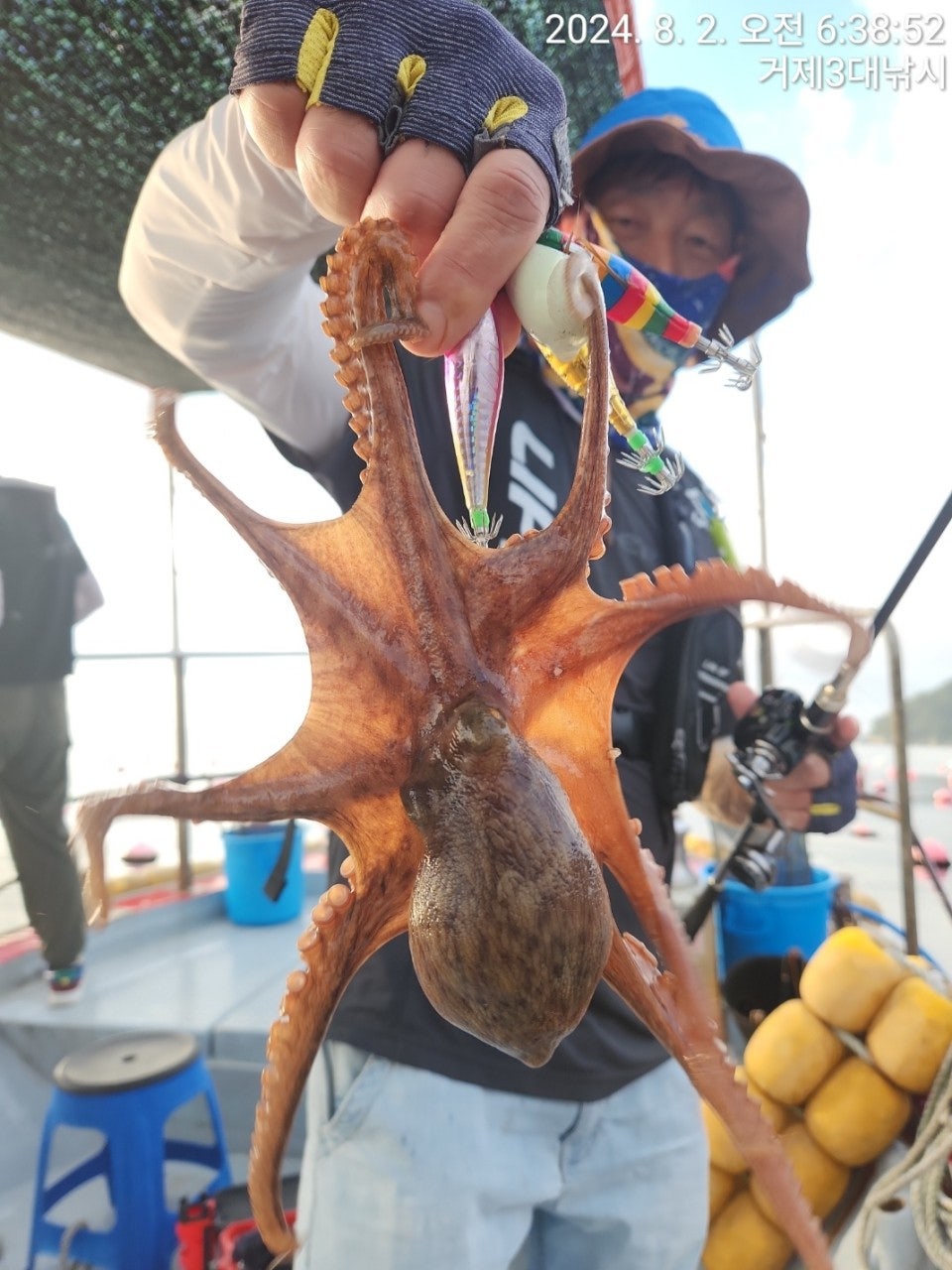 사용자가 올린 이미지