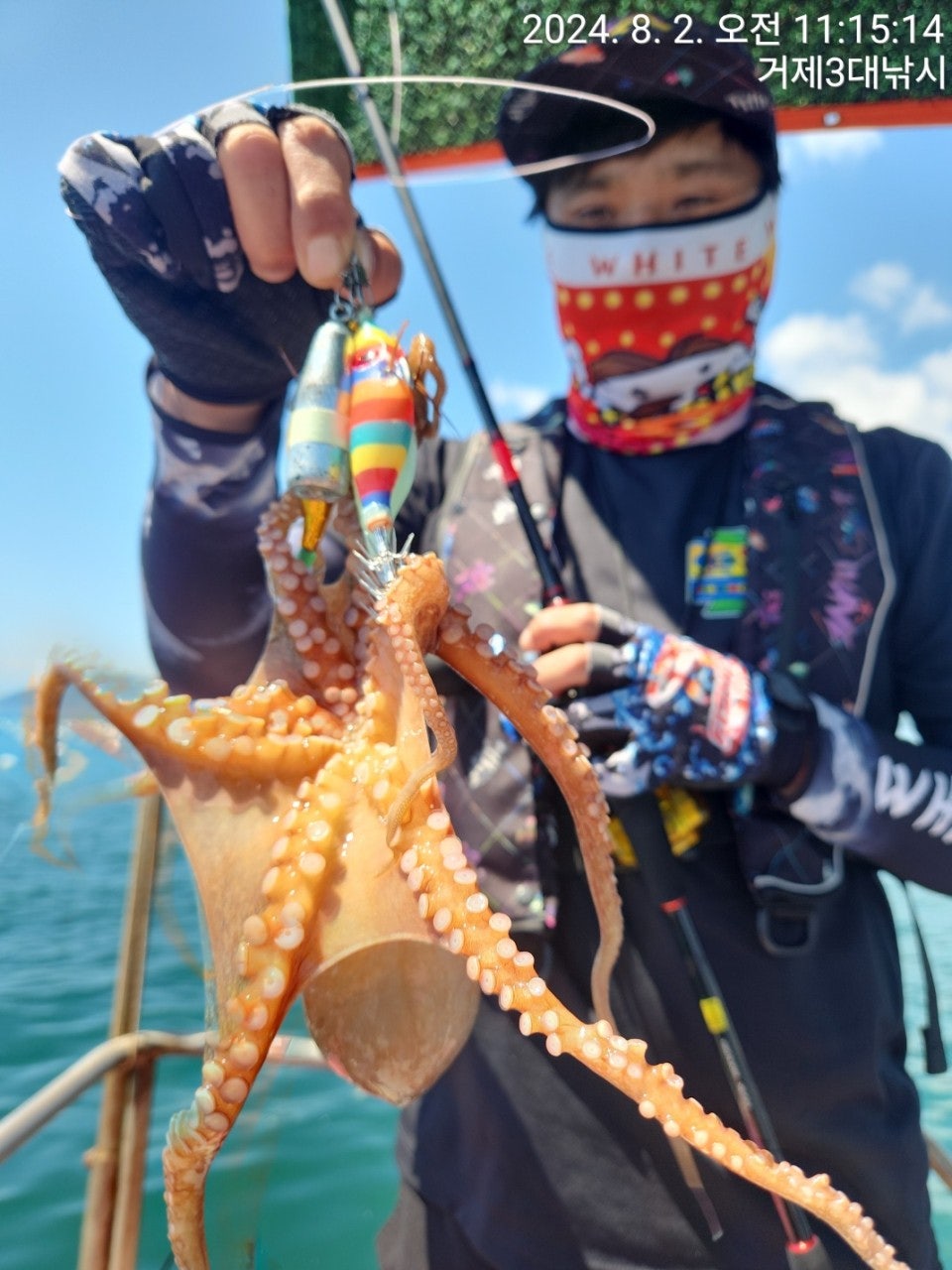 사용자가 올린 이미지