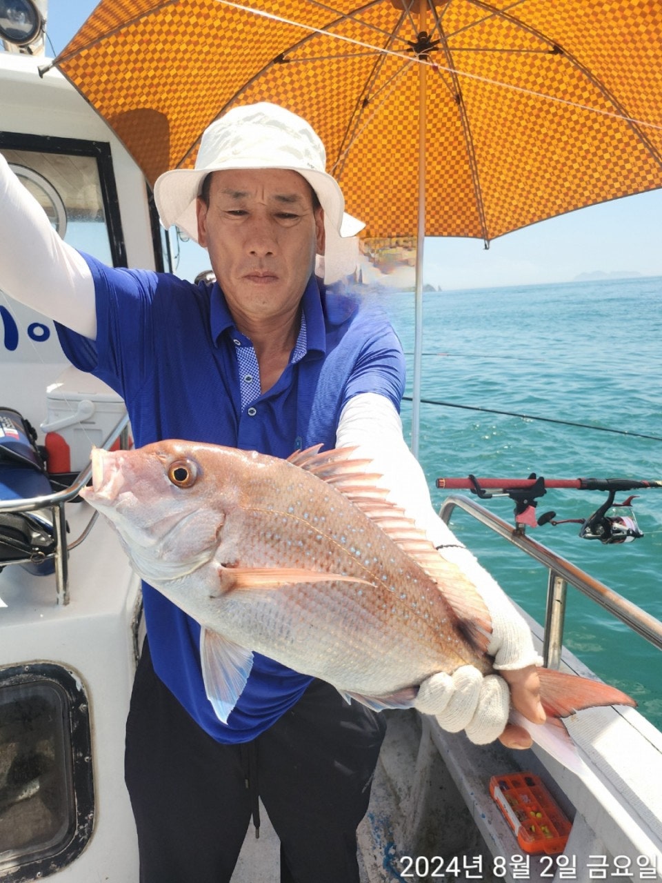 사용자가 올린 이미지