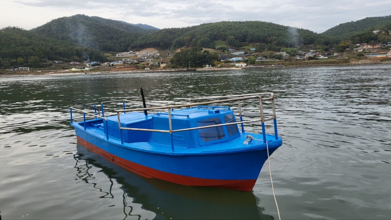 무등록 선내기 10마력 판매합니다.
