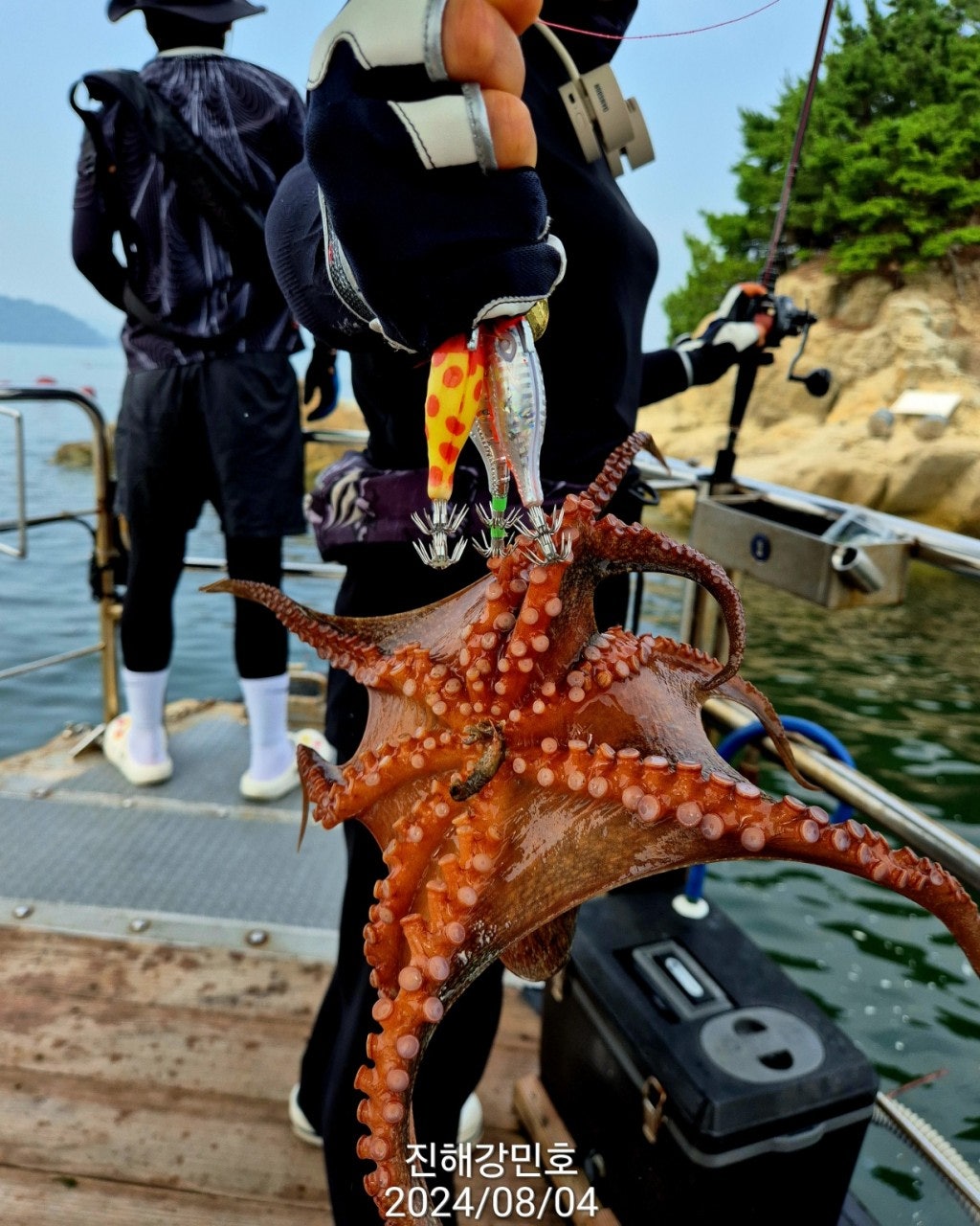 사용자가 올린 이미지