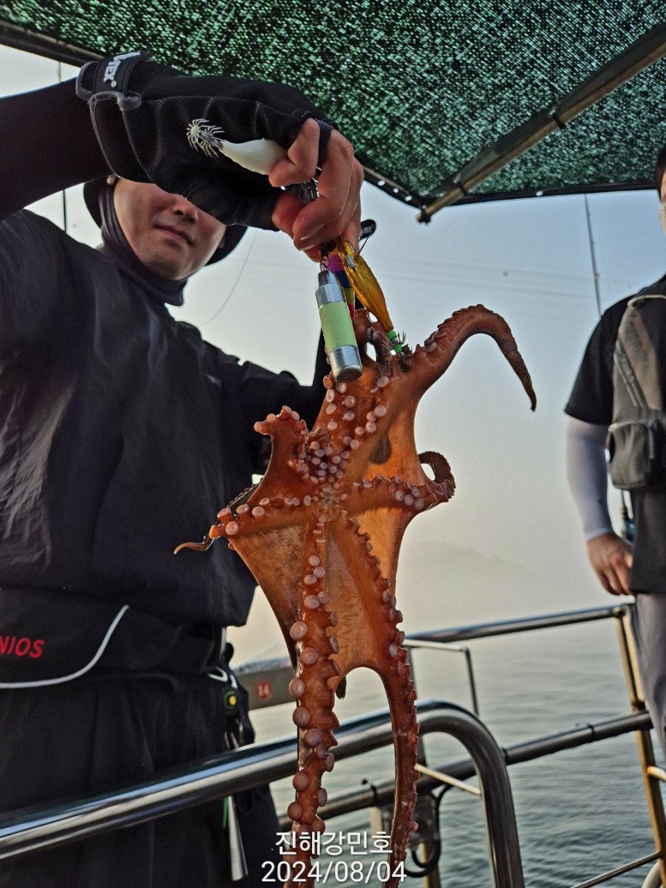 사용자가 올린 이미지