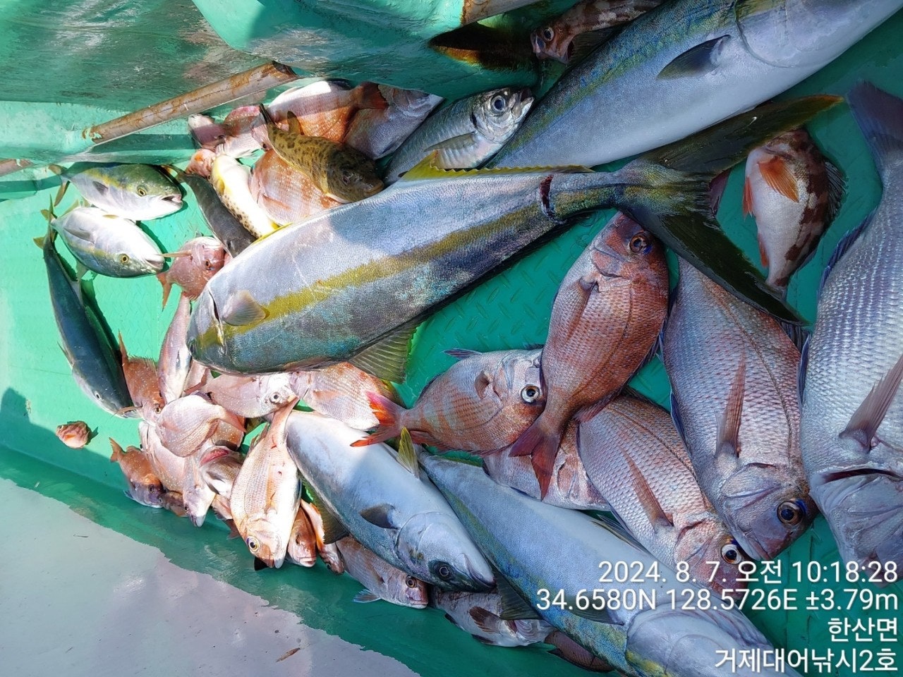 사용자가 올린 이미지