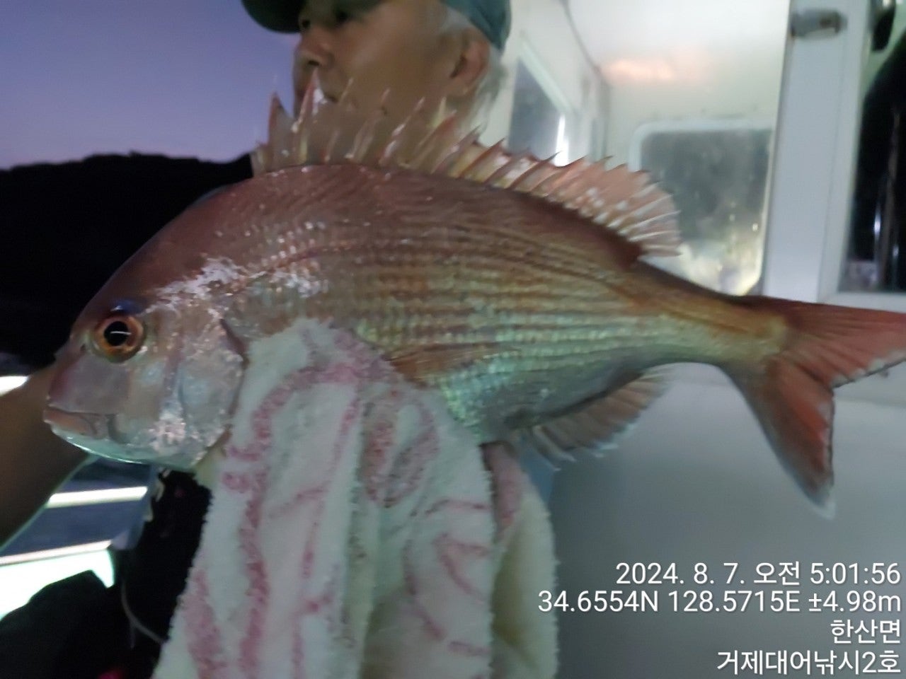 사용자가 올린 이미지