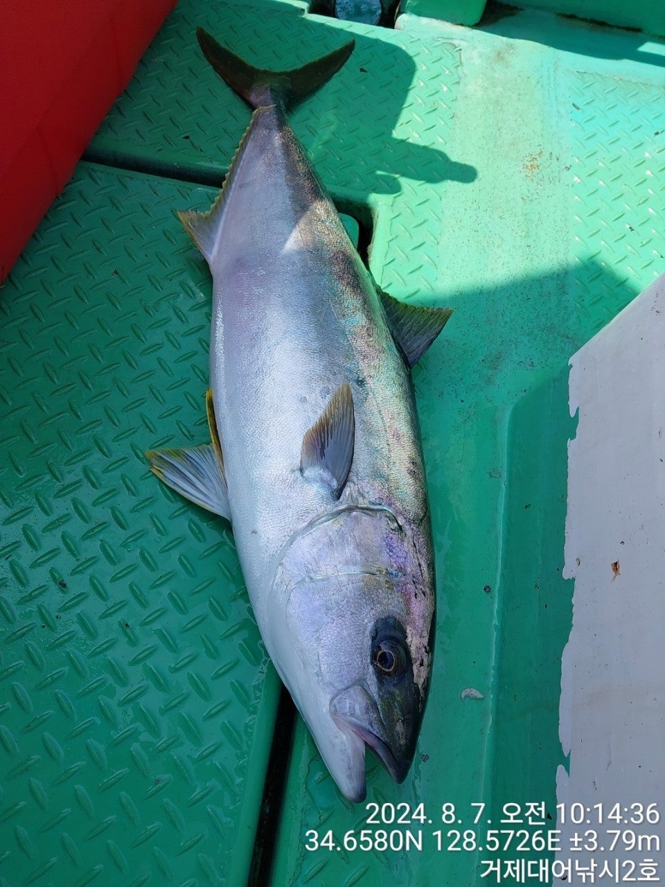 사용자가 올린 이미지