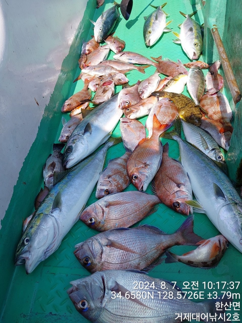 사용자가 올린 이미지