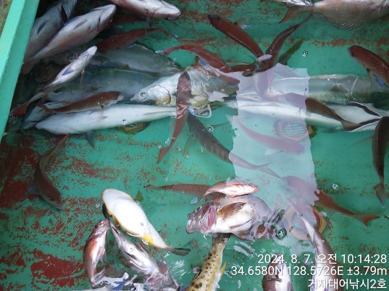 사용자가 올린 이미지