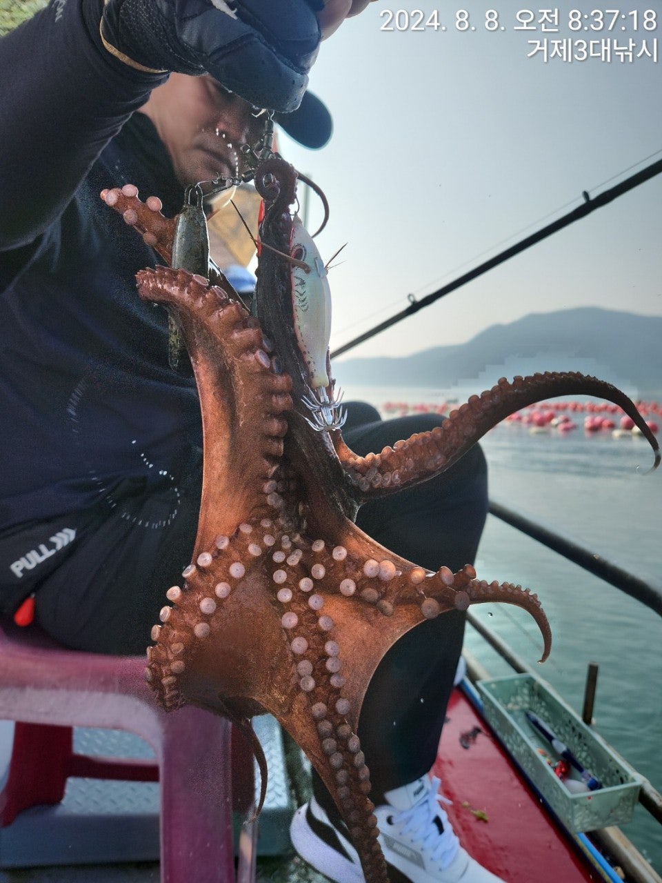 사용자가 올린 이미지