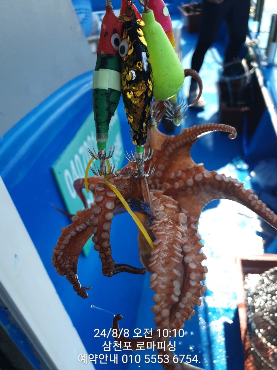 사용자가 올린 이미지