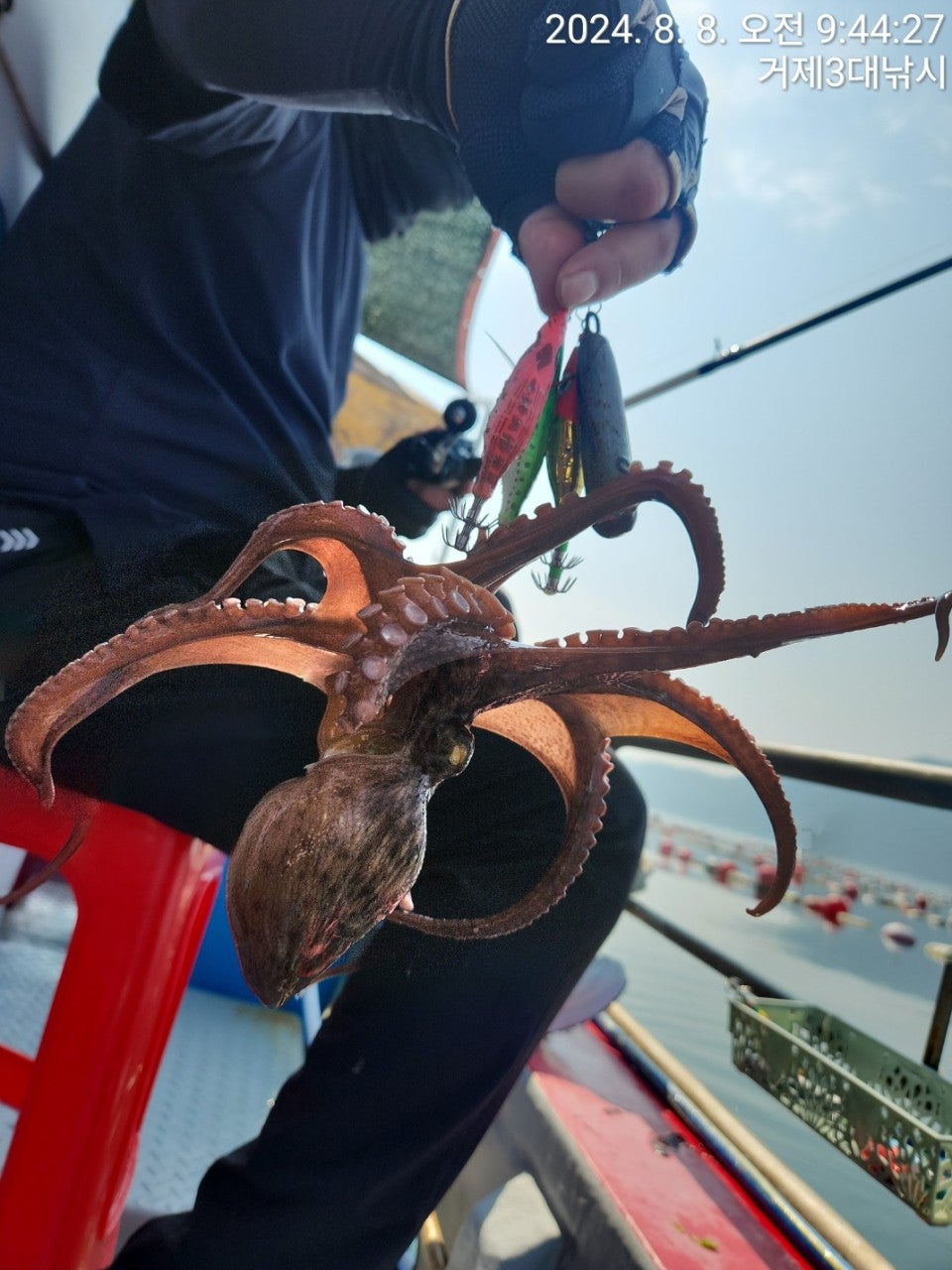 사용자가 올린 이미지