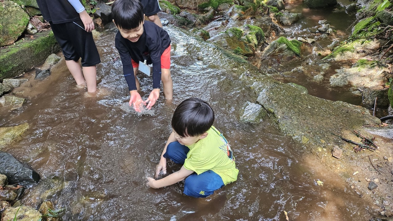 사용자가 올린 이미지