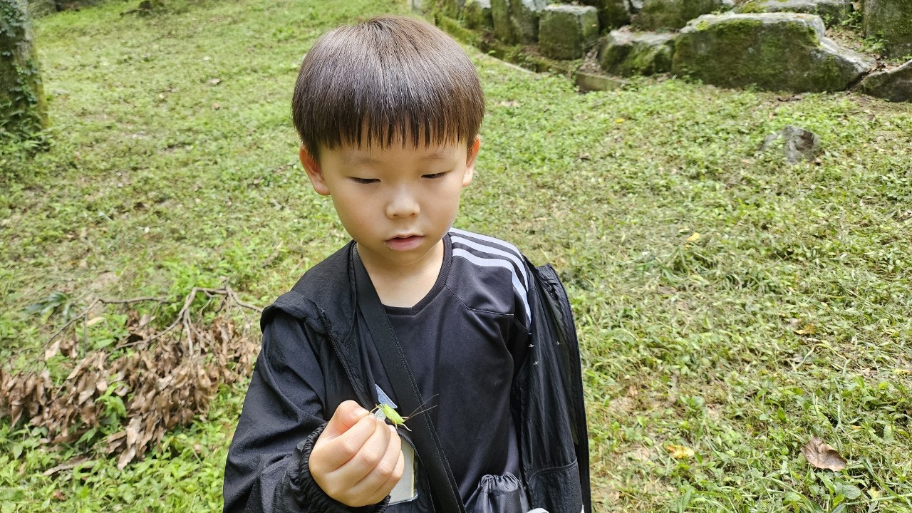 사용자가 올린 이미지