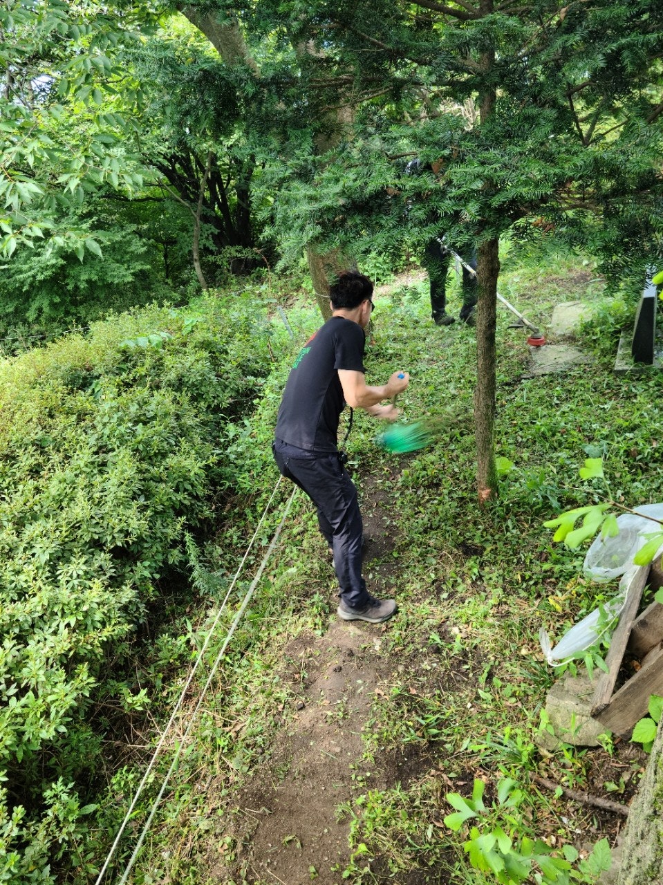 사용자가 올린 이미지