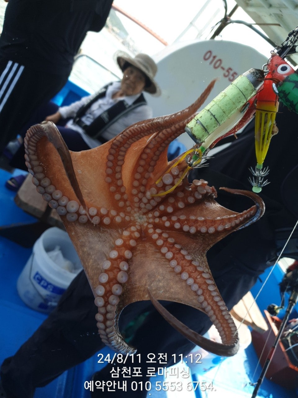 사용자가 올린 이미지