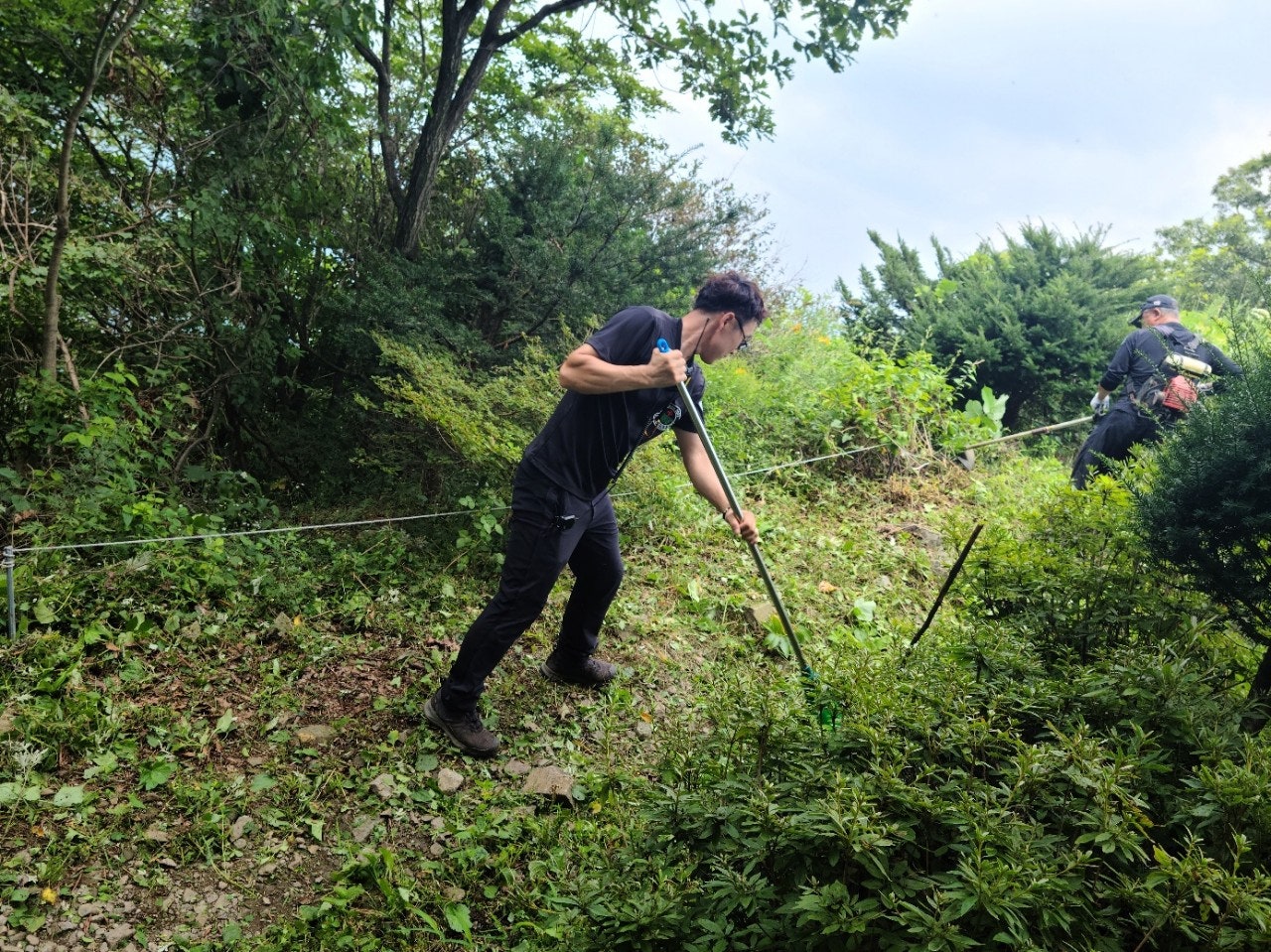 사용자가 올린 이미지