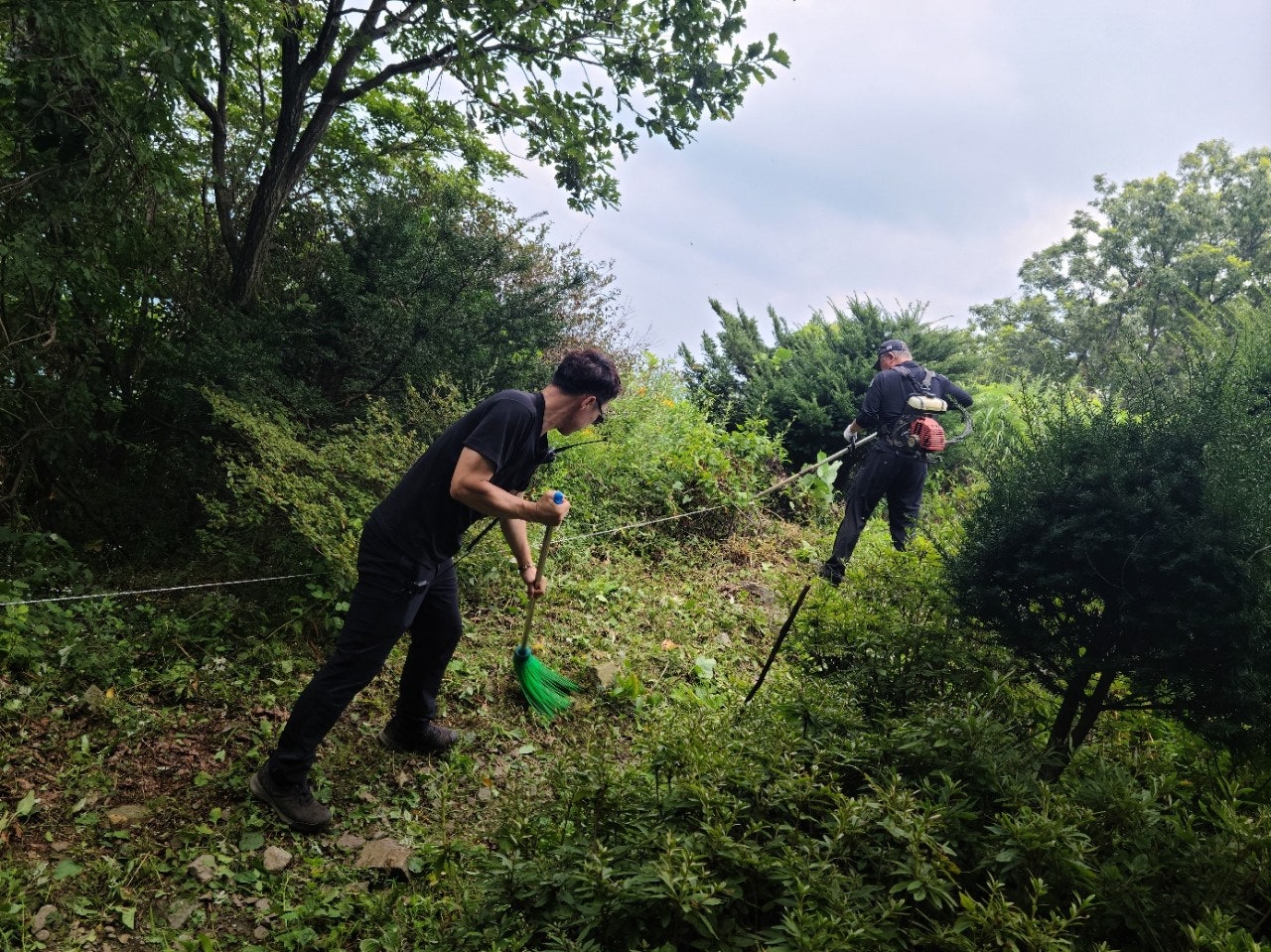 사용자가 올린 이미지