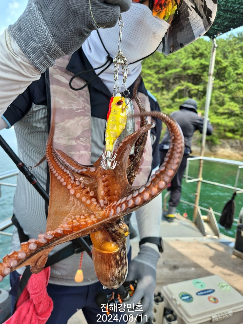 사용자가 올린 이미지