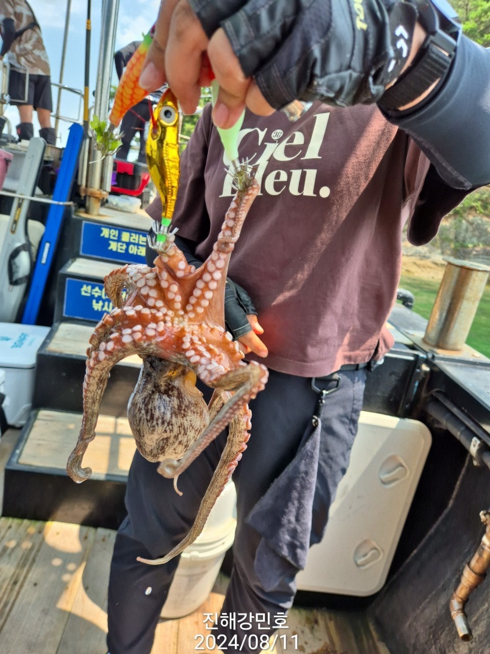 사용자가 올린 이미지