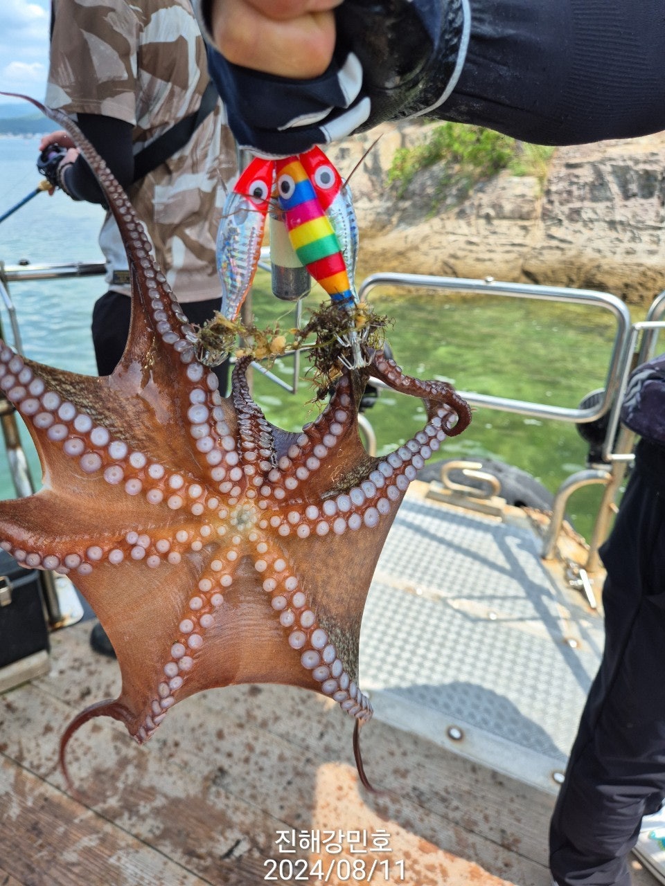 사용자가 올린 이미지