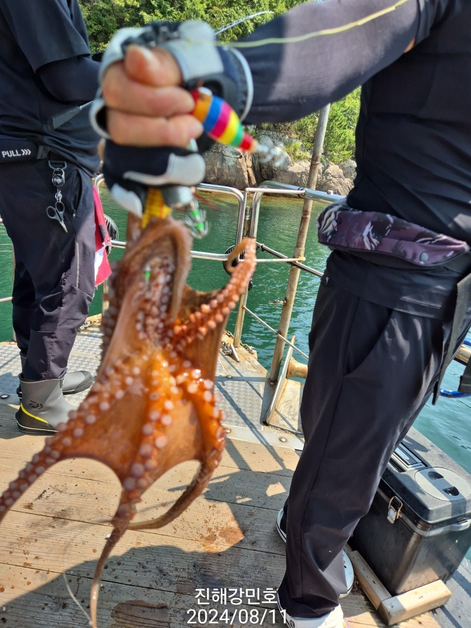 사용자가 올린 이미지