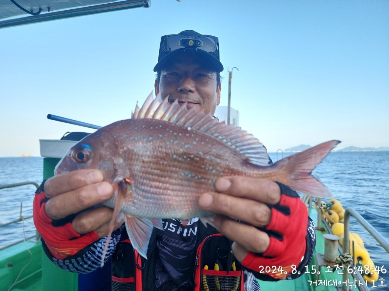 사용자가 올린 이미지