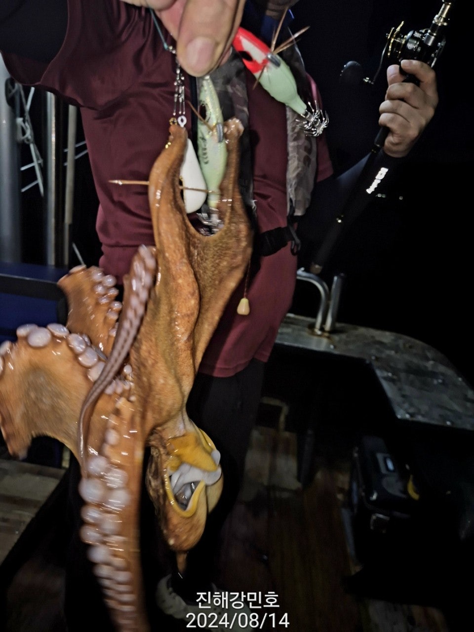 사용자가 올린 이미지