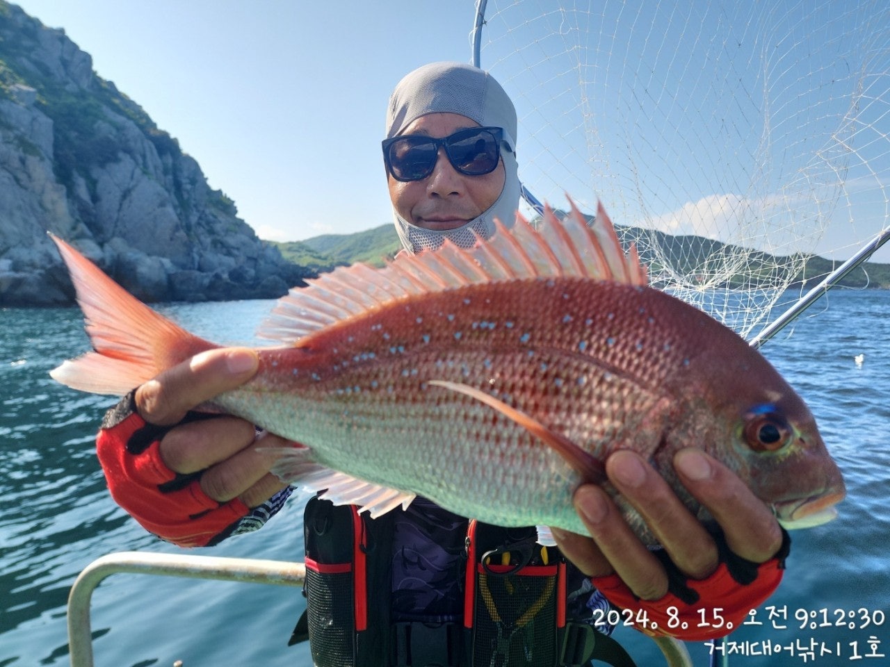 사용자가 올린 이미지