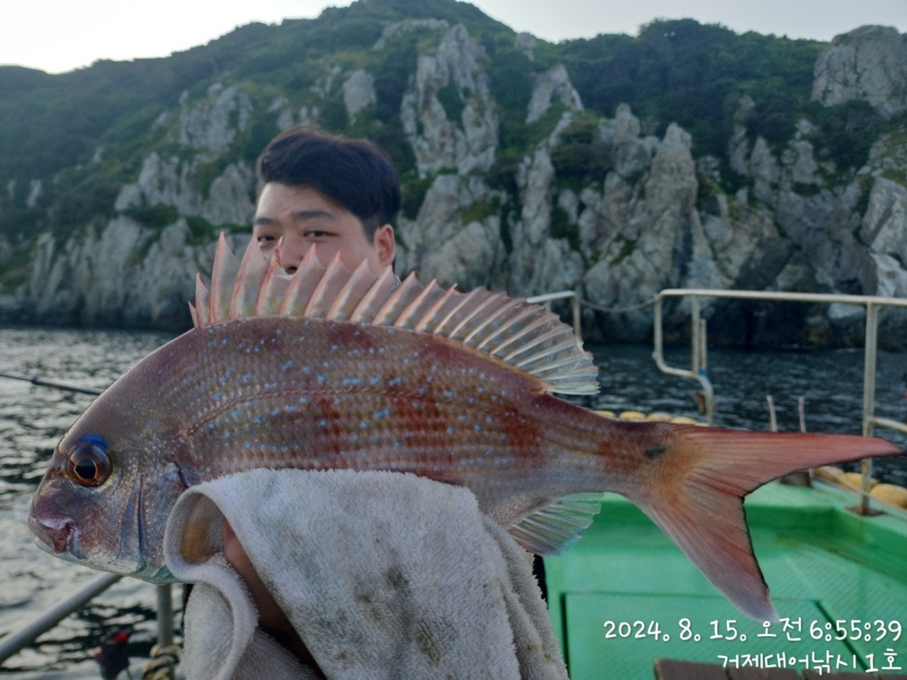 사용자가 올린 이미지