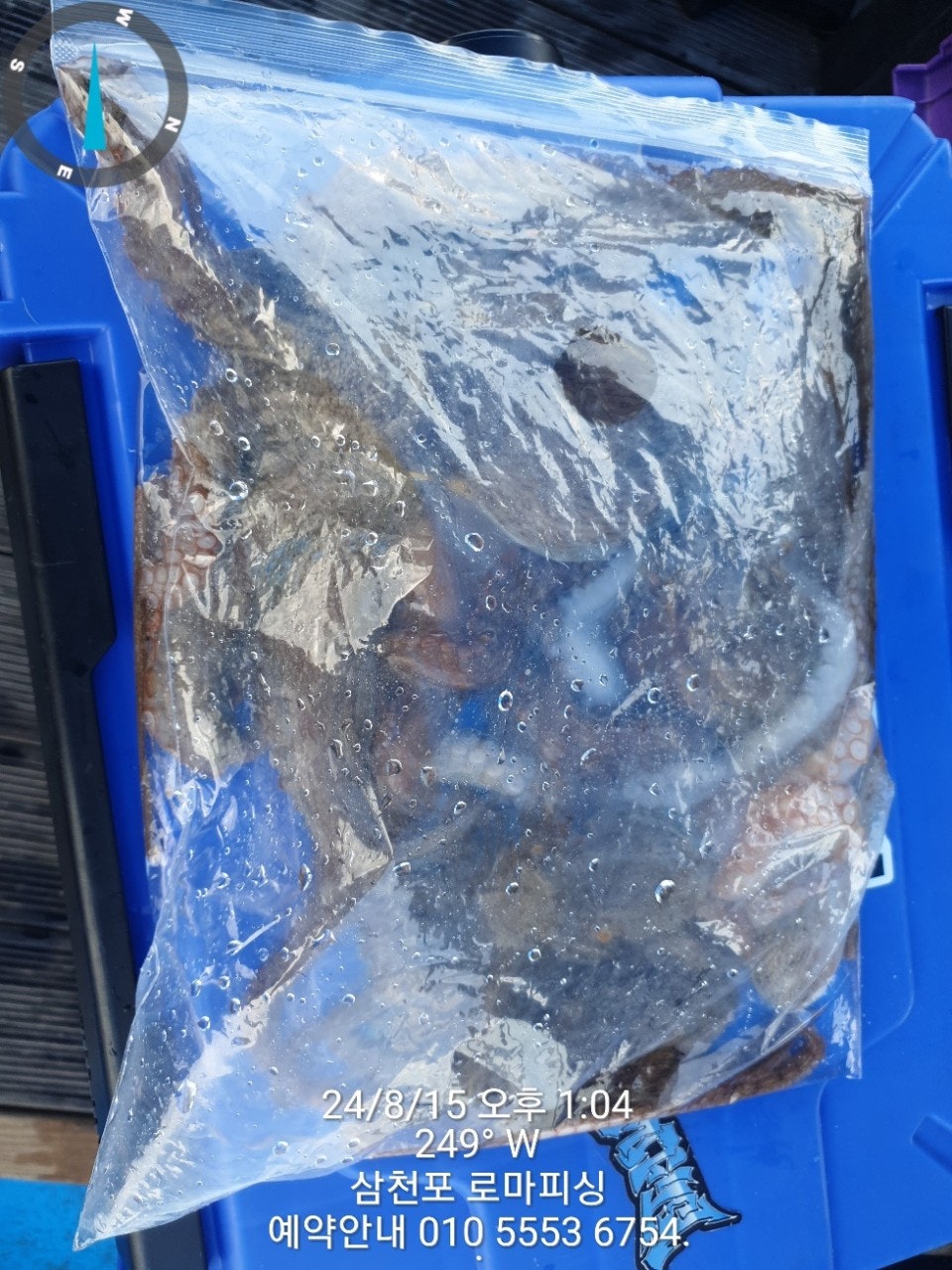 사용자가 올린 이미지