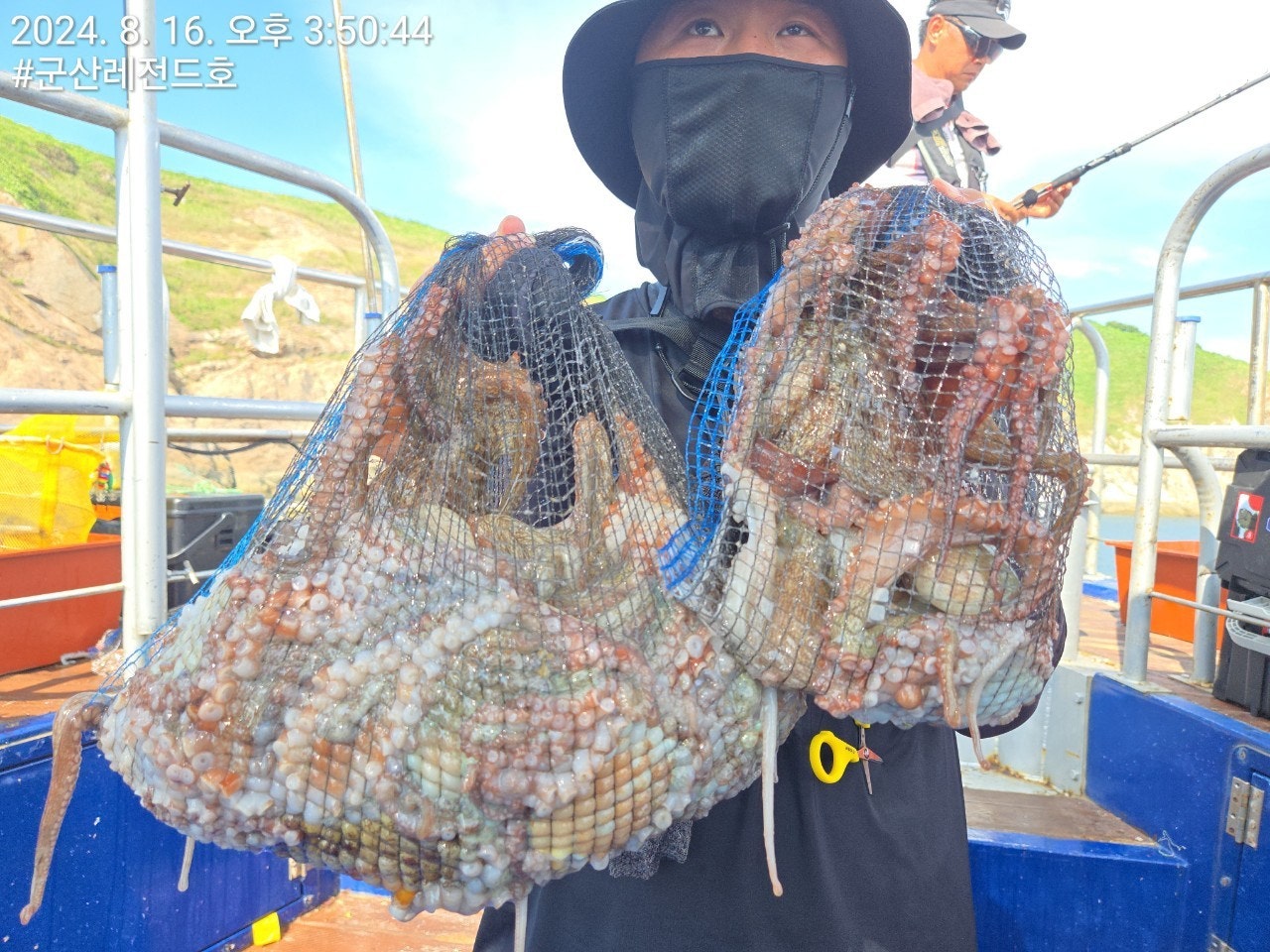 사용자가 올린 이미지