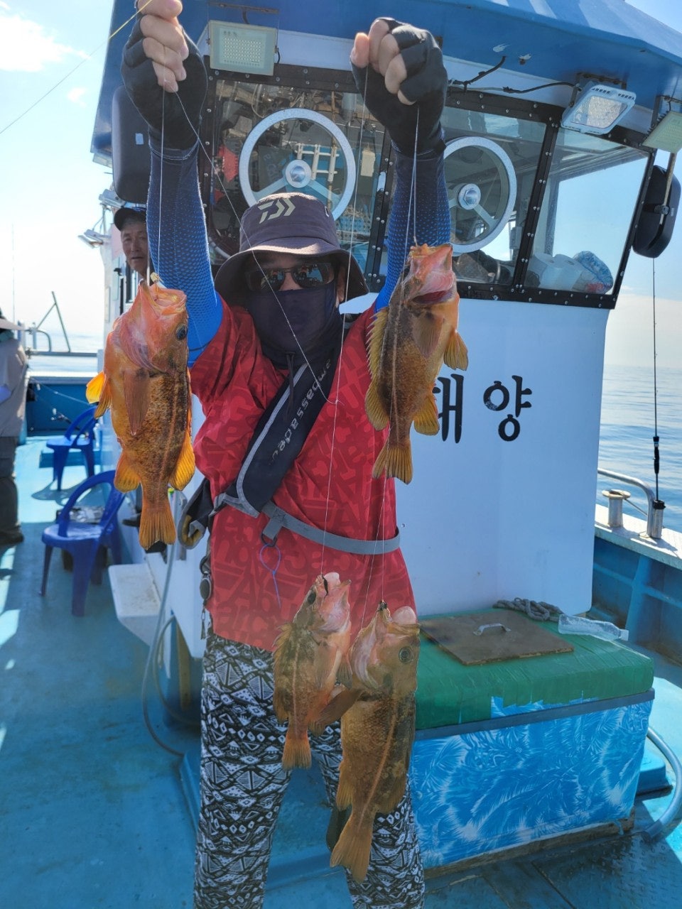 사용자가 올린 이미지
