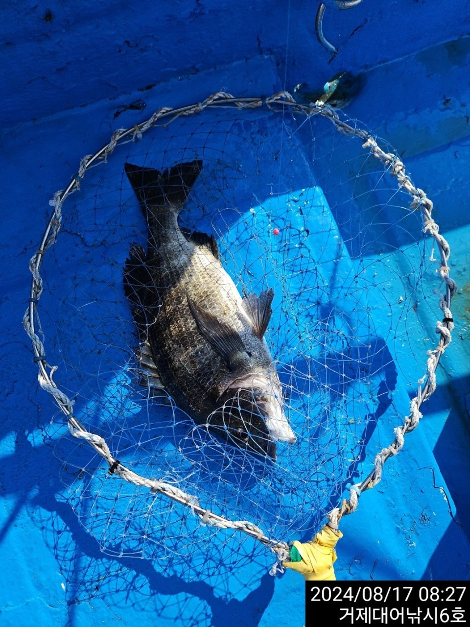 사용자가 올린 이미지