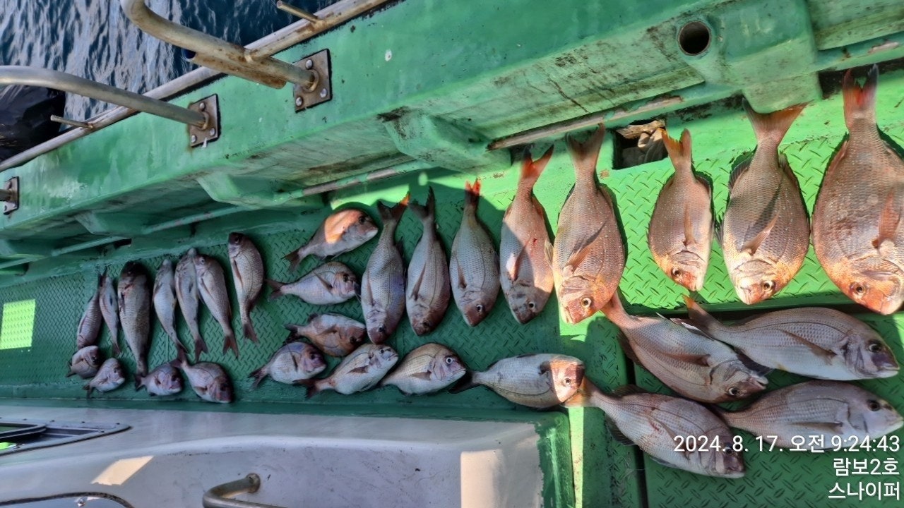 사용자가 올린 이미지