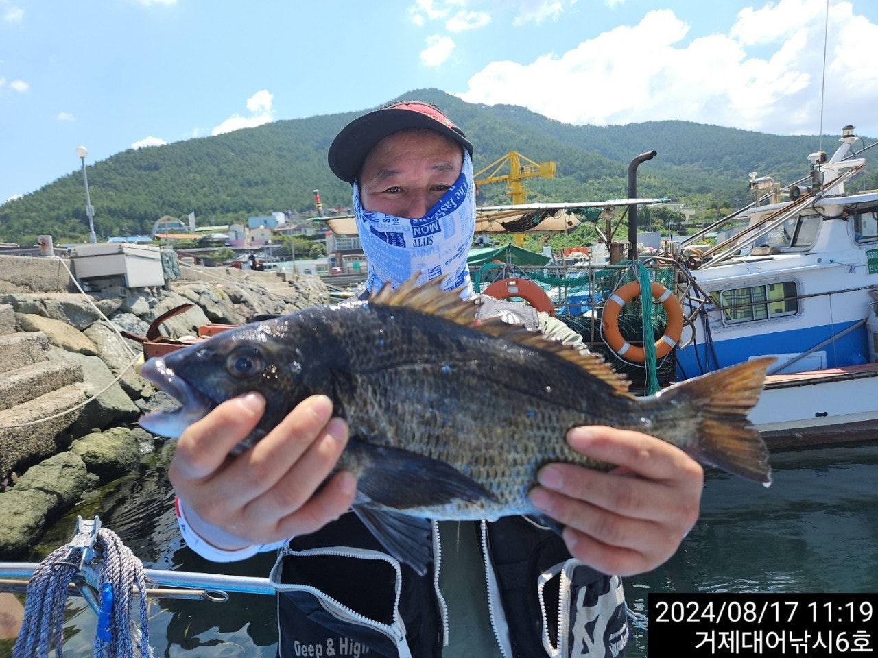 사용자가 올린 이미지