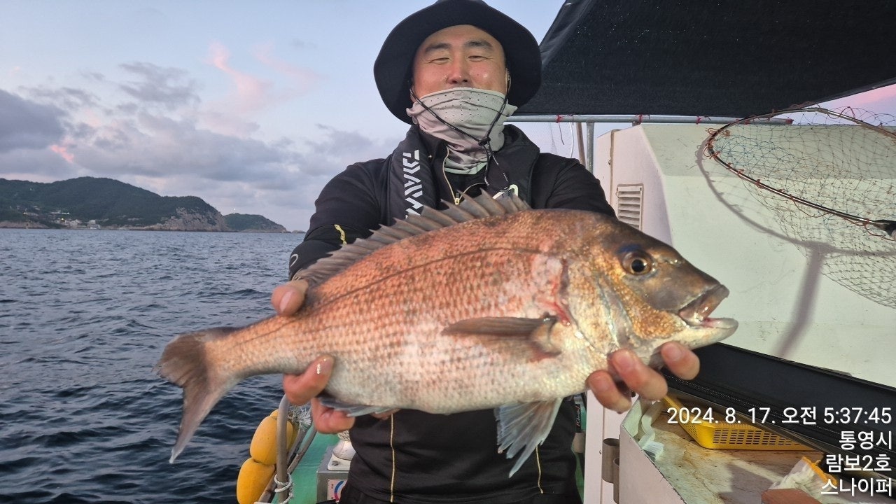 사용자가 올린 이미지