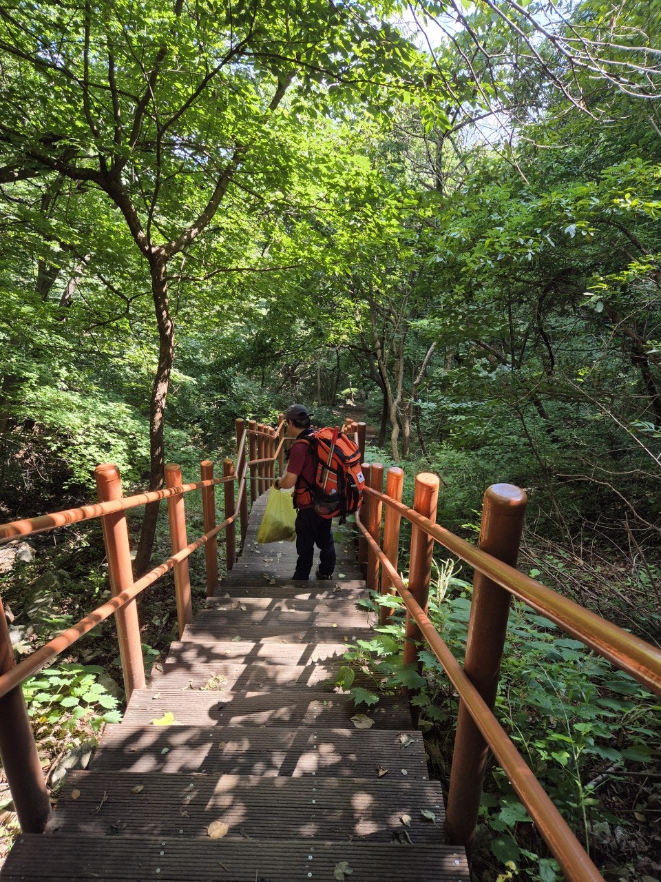 사용자가 올린 이미지