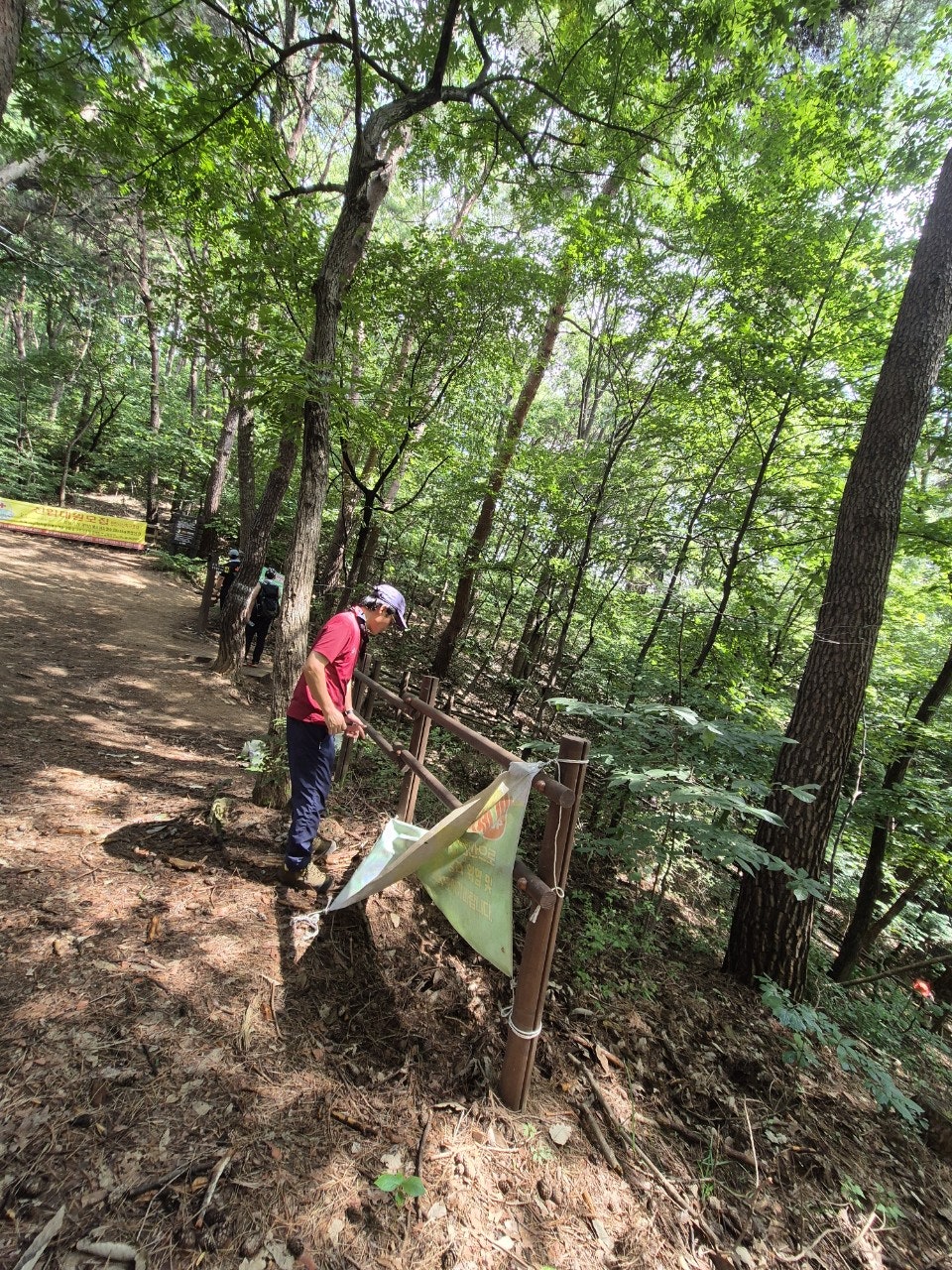 사용자가 올린 이미지