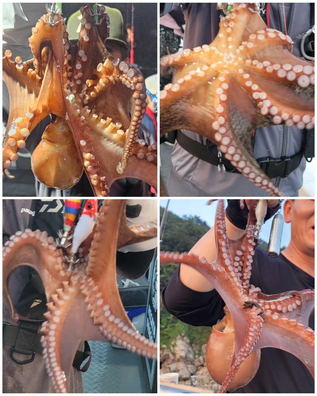 사용자가 올린 이미지