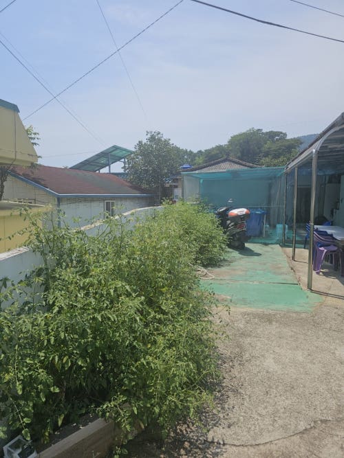 전국