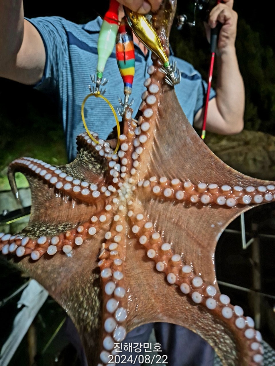 사용자가 올린 이미지