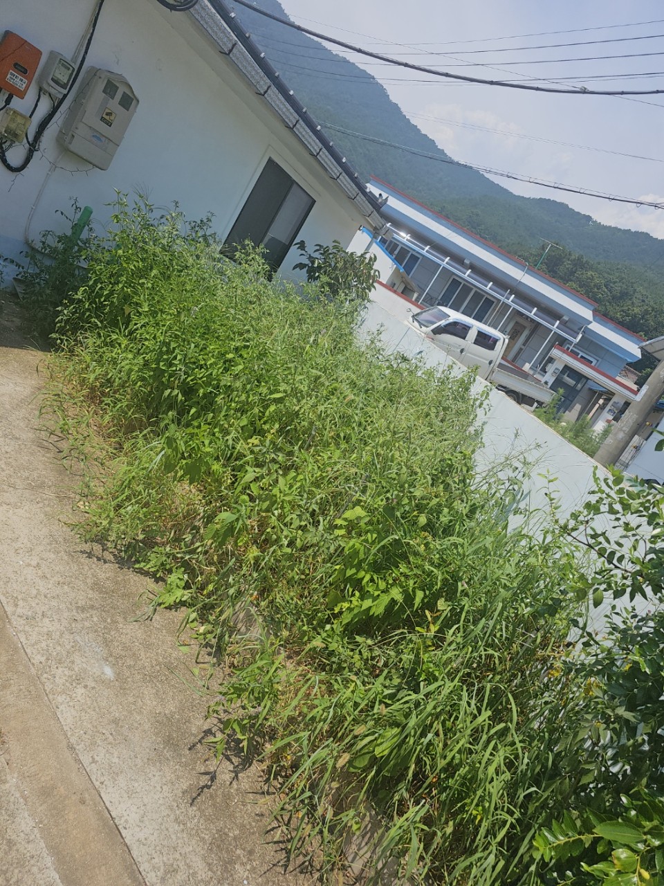 60평 주택 매매합니다.