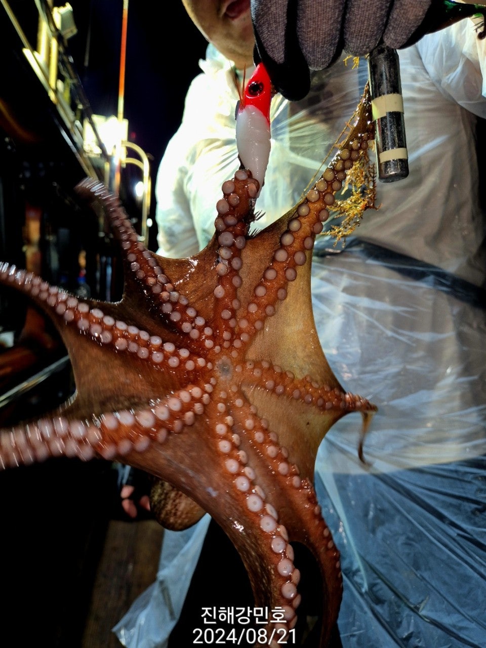 사용자가 올린 이미지