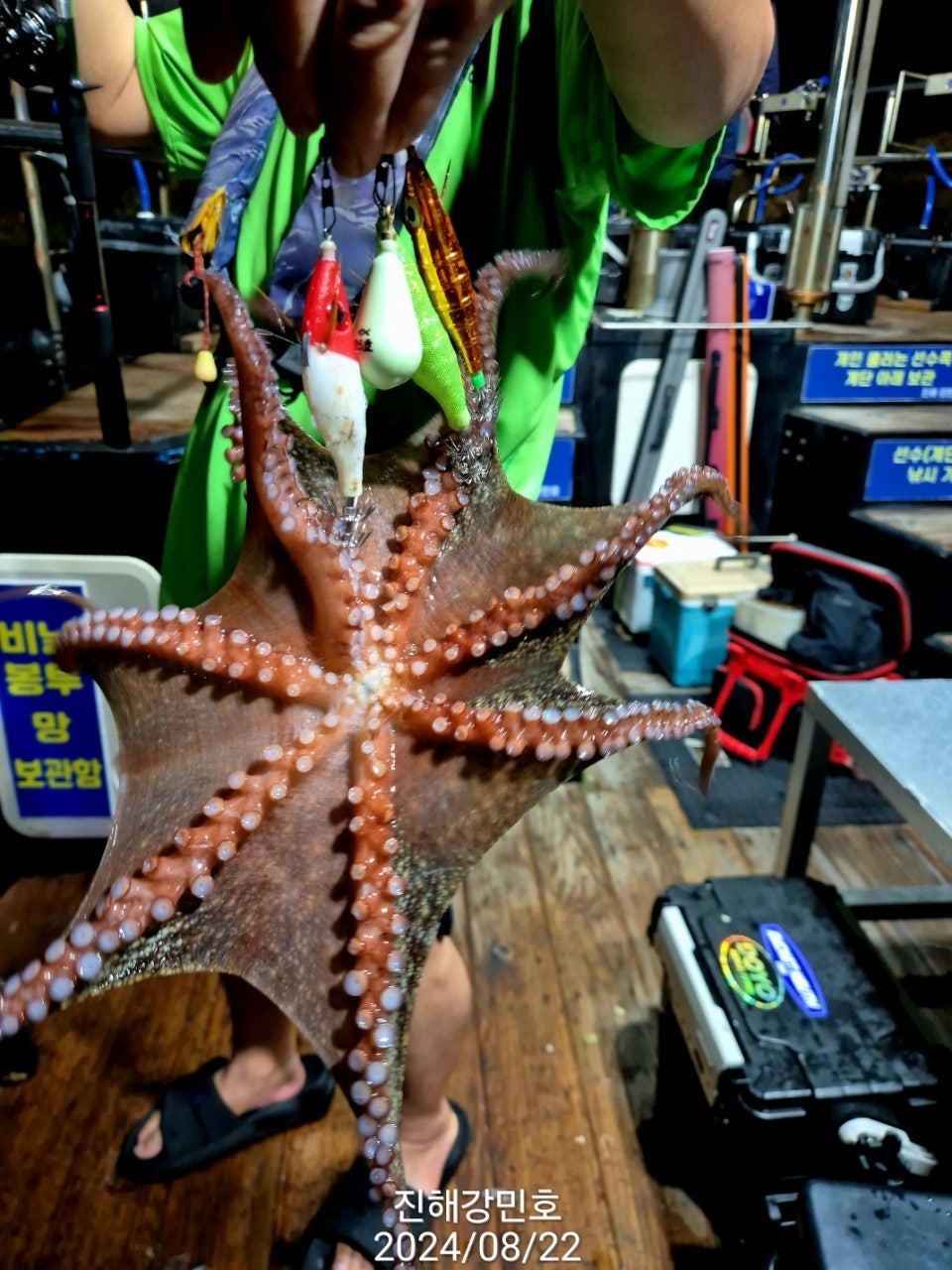 사용자가 올린 이미지