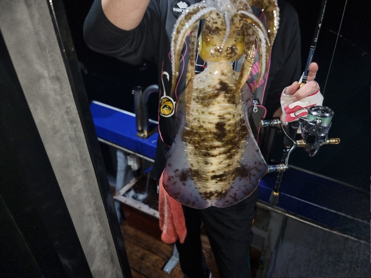 사용자가 올린 이미지