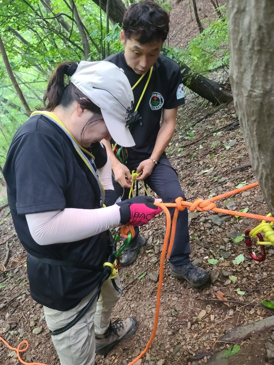 사용자가 올린 이미지