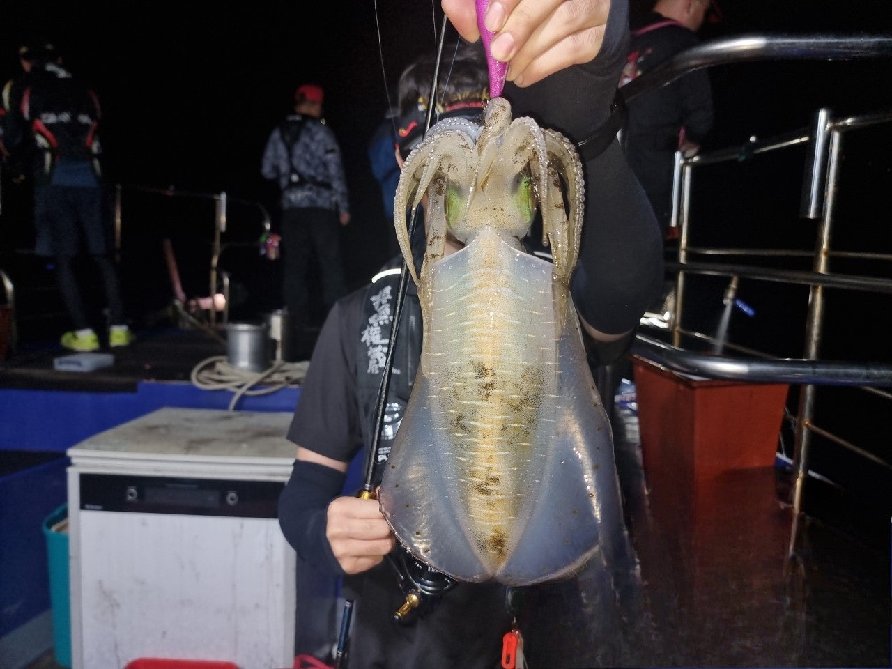 사용자가 올린 이미지