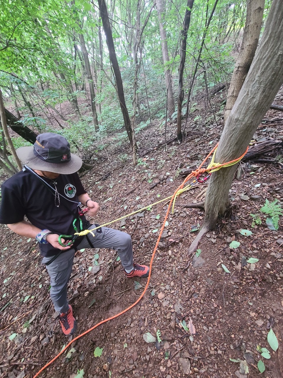 사용자가 올린 이미지